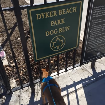 Dyker Beach Park Dog Run photo 1